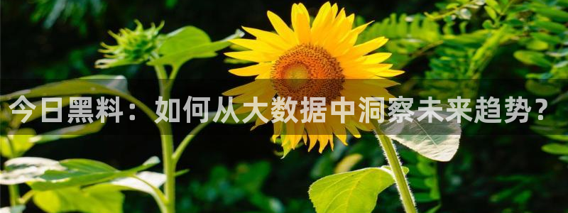 91吃瓜今日吃瓜入口:今日黑料:如何从大数据中洞察未来趋势?