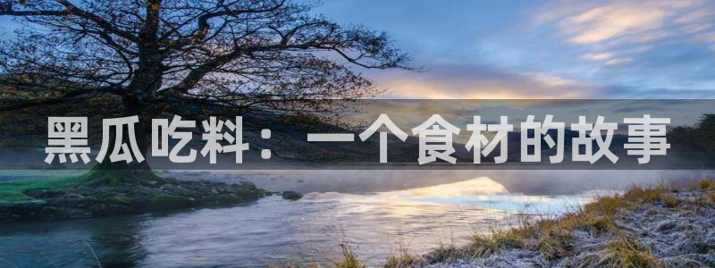 吊瓜树的瓜可以吃吗:黑瓜吃料:一个食材的故事