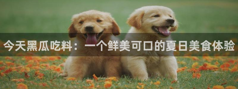 51cg吃瓜今日吃瓜:今天黑瓜吃料:一个鲜美可口的夏日美食体验